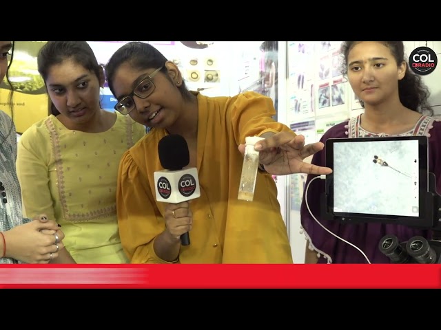 MODEL ORGANISMS - Daulat Ram College, University of Delhi